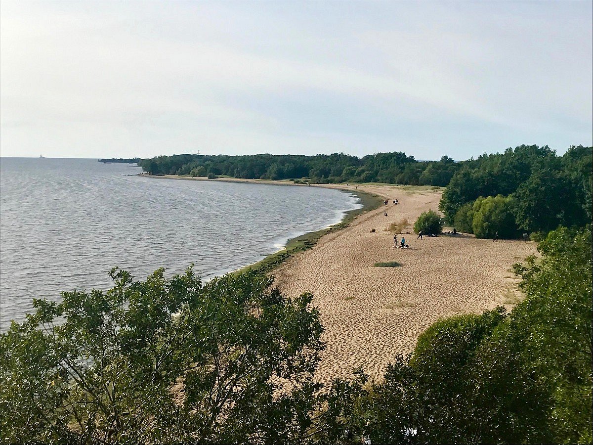 Окрестности Санкт-Петербурга. Что посмотреть