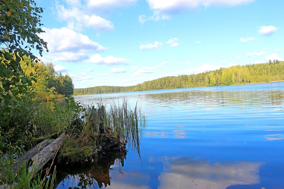 Окрестности Санкт-Петербурга. Что посмотреть, красивые места