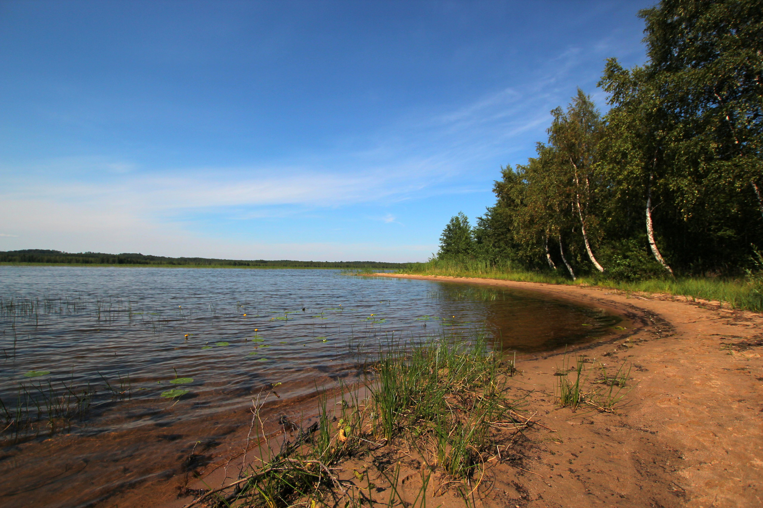 Окрестности Санкт-Петербурга. Что посмотреть, красивые места